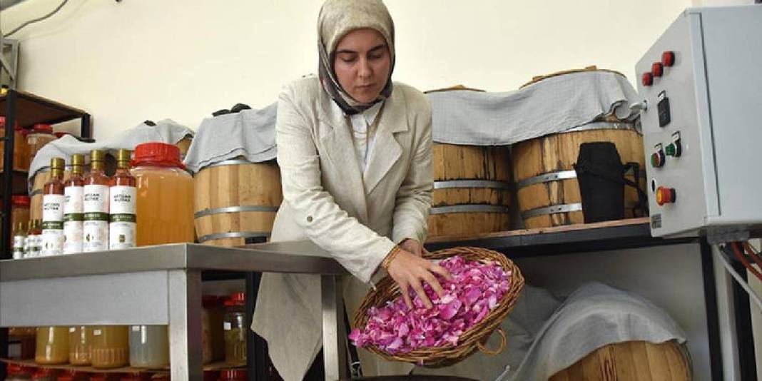 Doğal üretiyor, ABD, Almanya, Hollanda, Fransa ondan alıyor! Kadın girişimciden büyük başarı: Türkiye’nin öncülerinden 2